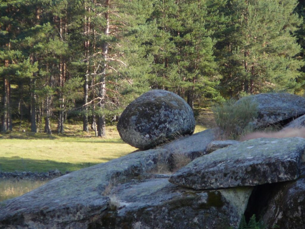 Pinar y naturaleza en la ruta de las chorreras de Hoyos del Espino