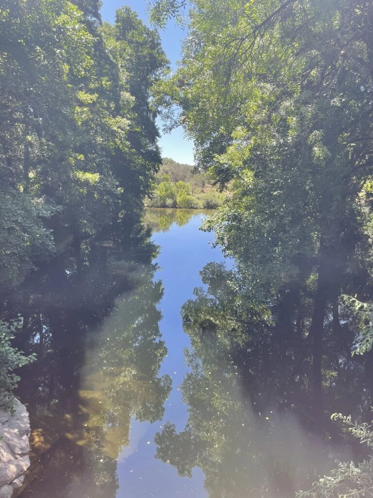 En la ruta de los pescadores podrás disfrutar del verdor del bosque y de la frescura del agua