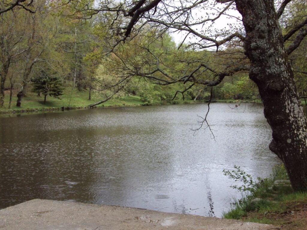 Lago en Ciudad Ducal, en el entorno de Las Navas del Marqués